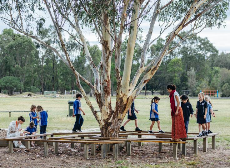 Primary students and teachers engaging in outdoor learning under a large gum tree, representing student growth, exploration, and collaborative learning in a nurturing Christian environment.